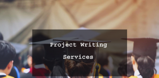 Project Writing Services