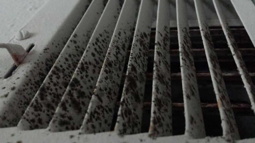 Mold in Air ducts