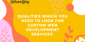 custom-web-development-services