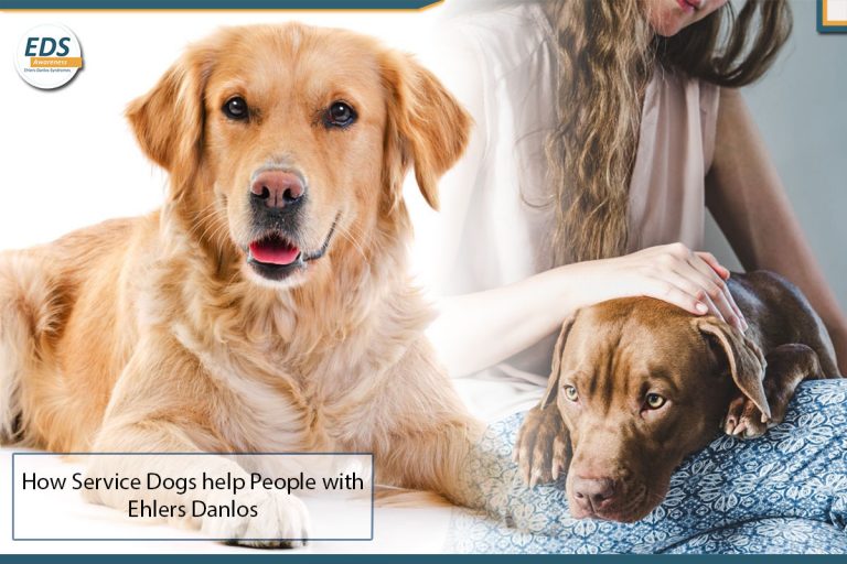 How Service Dogs help people with Ehlers Danlos