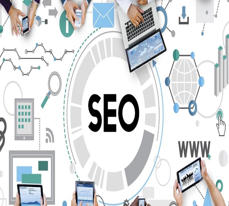 B2B SEO agency Primelis