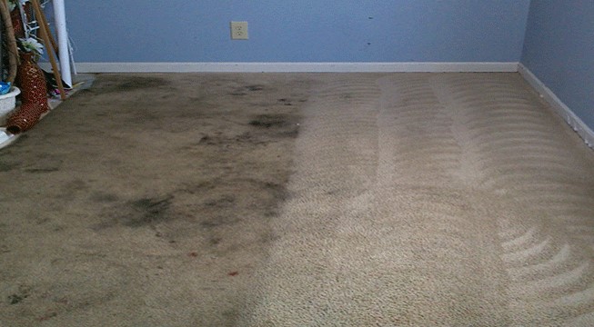 Carpet Cleaning In Canberra Is Necessary For Maintenance Of Carpet