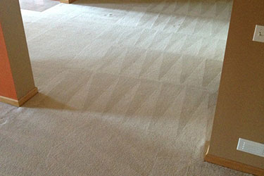 Why is Vacuuming Not a Replacement for Professional Carpet Cleaning in Adelaide?