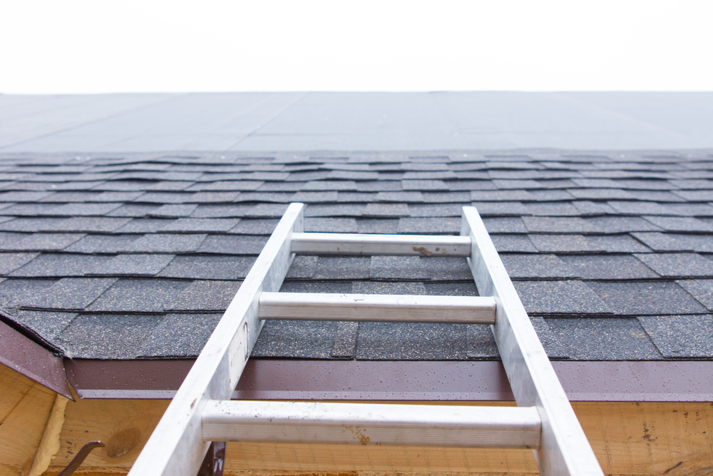 roof painting 