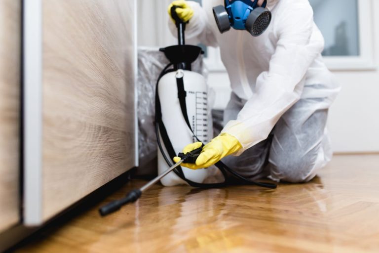 The Pest Control Company in Dubai Can help you Get Rid of all Unwanted Pests