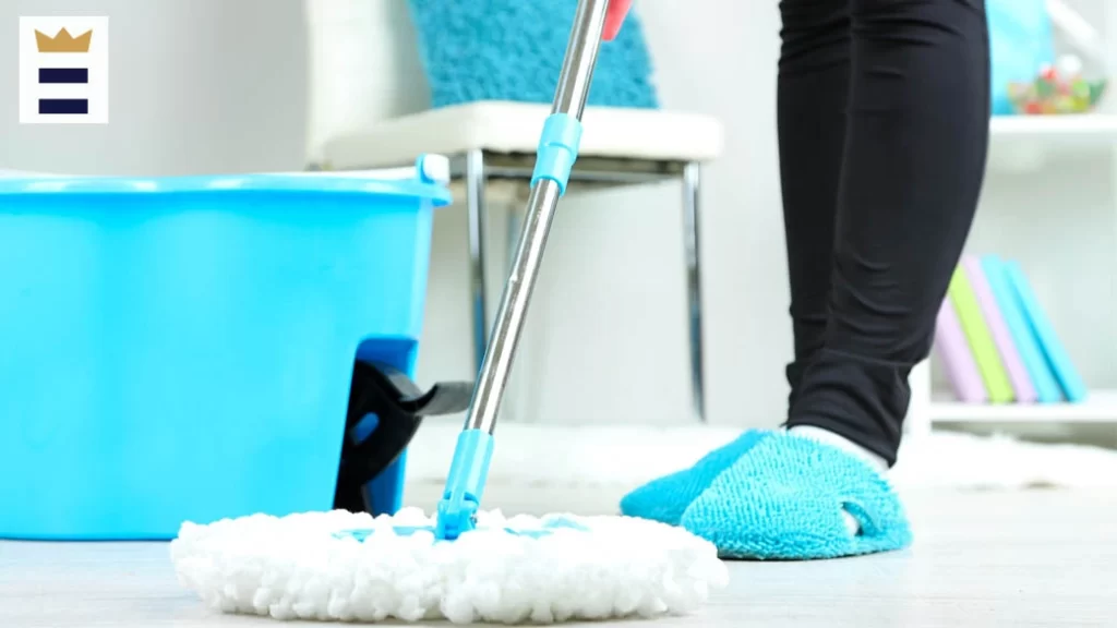 professional cleaning services