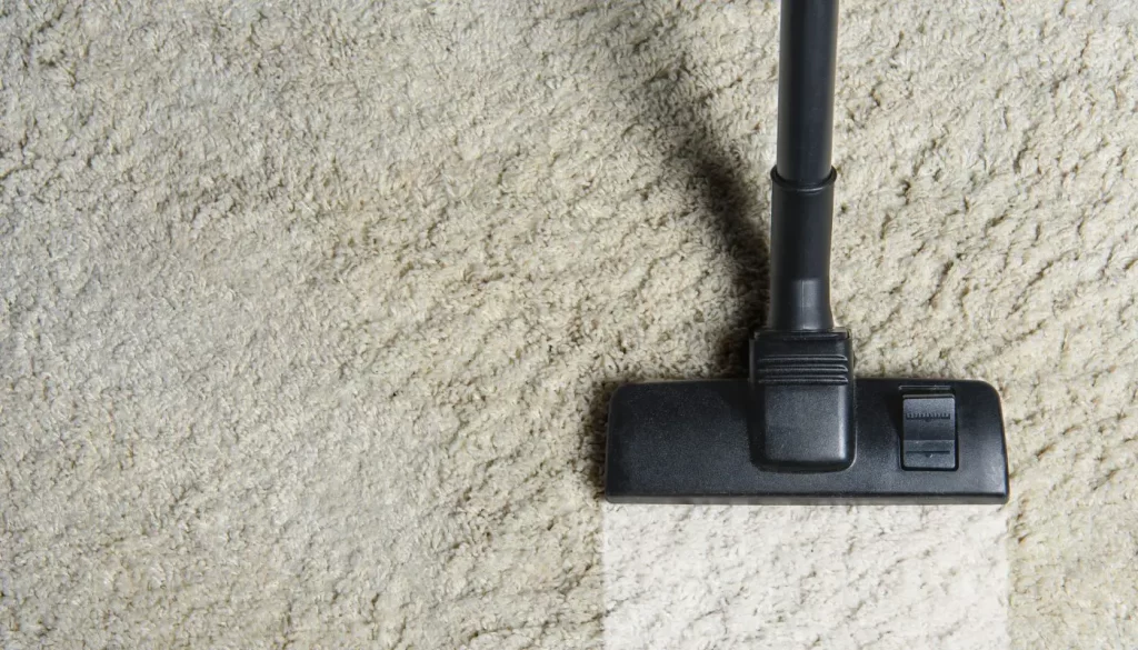 carpet cleaning