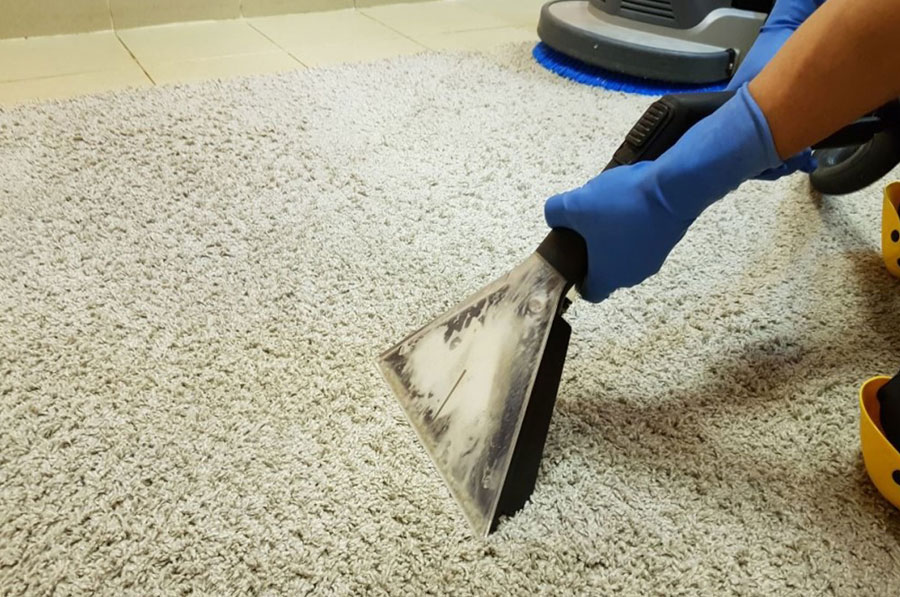 carpet cleaning