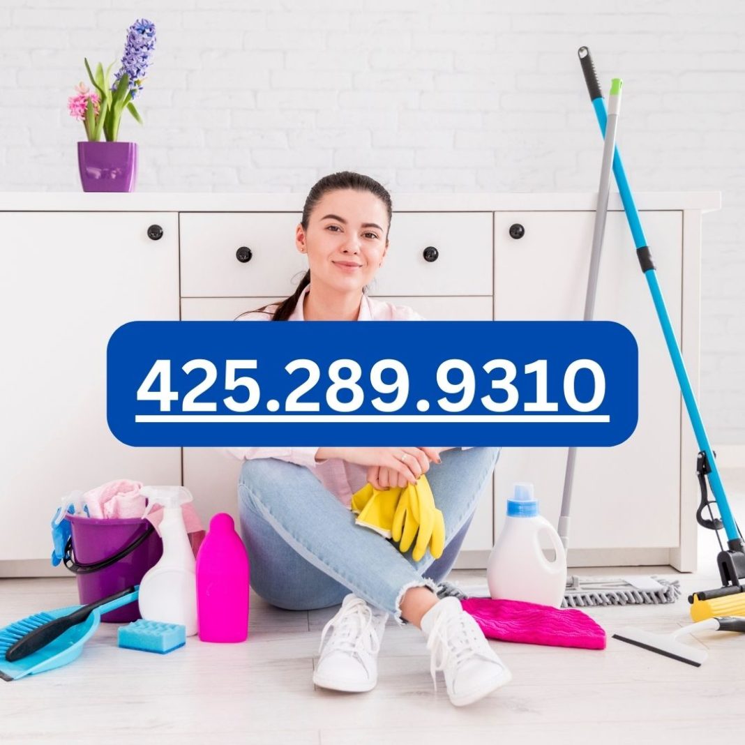 cleaning company