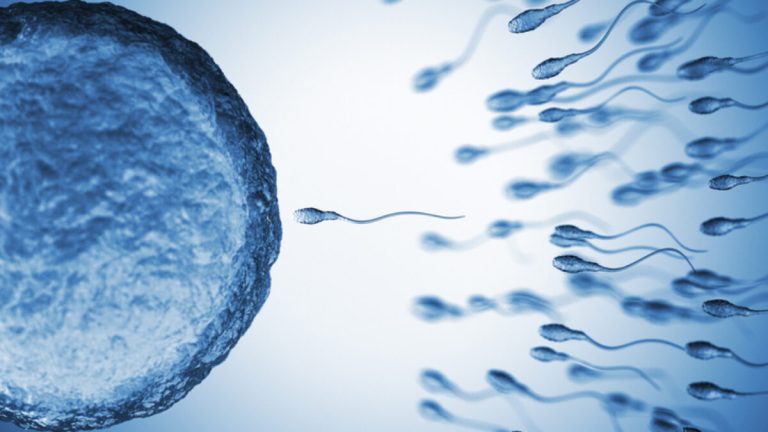 Understanding the Lifespan of Sperm Inside a Woman: How Long Does it Last?