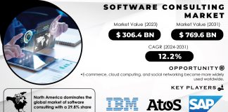 Software Consulting Market Report